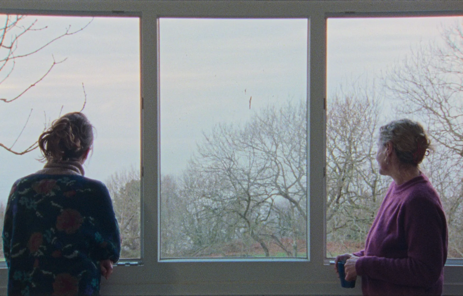 Dos mujeres junto a una gran ventana con vistas a árboles desnudos; una sujeta una taza azul.